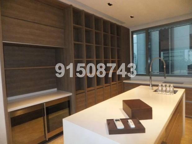 Leedon Residence (D10), Condominium #81845002